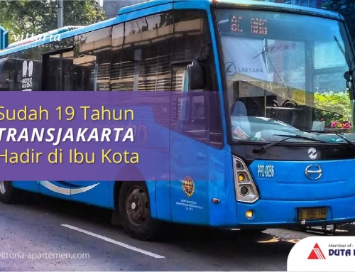 Sudah 19 Tahun Transjakarta Hadir di Ibu Kota, MTI: Telah Sejajar dengan Layanan Kota Lain di Dunia